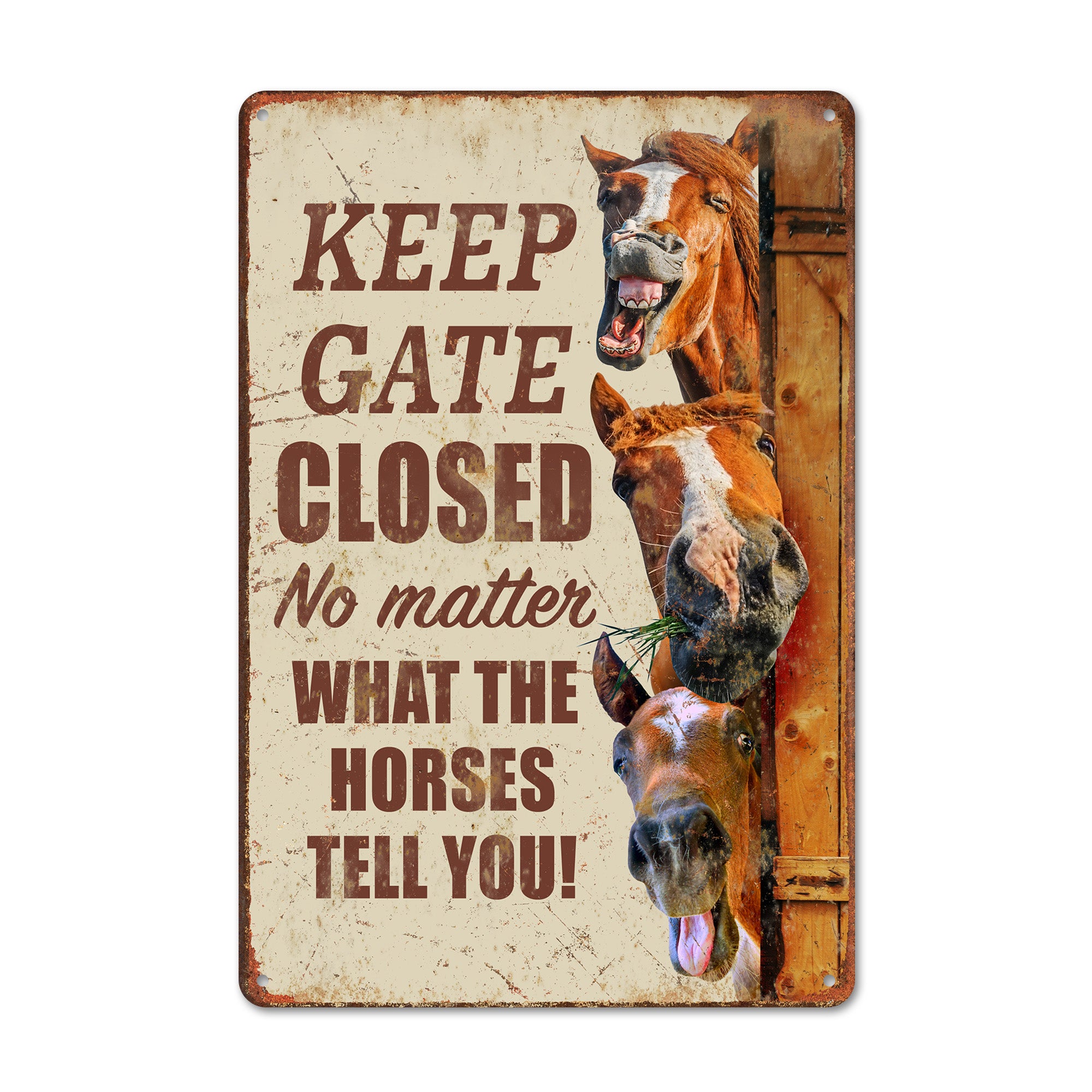 Personalized Horse Humor Metal Sign – Rustic Farmhouse Decor for Horse Lovers & Enthusiasts, Ideal Gift for Equestrians - Image 1