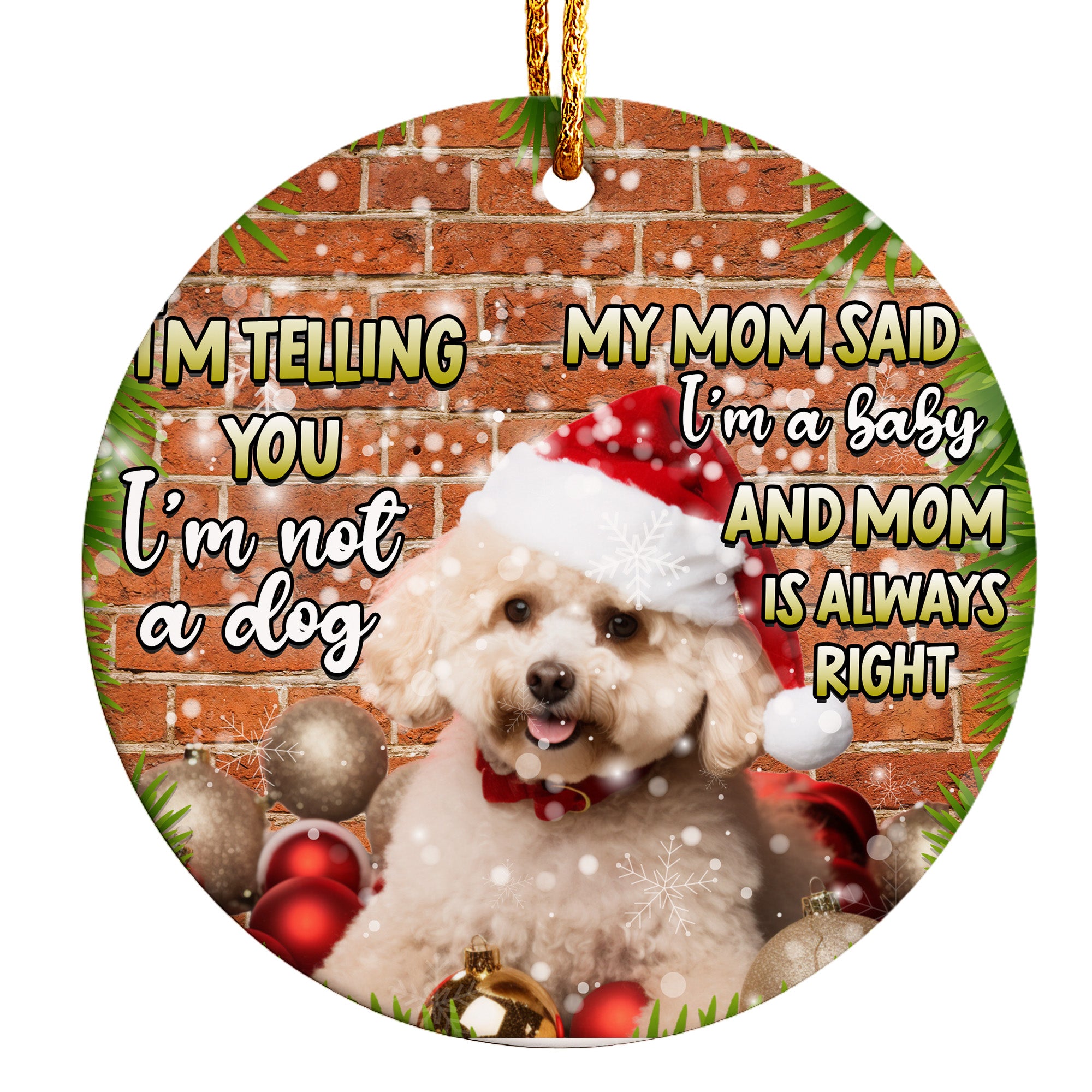 Personalized Christmas Pet Ornament - Custom Ceramic Dog Decoration for Pet Lovers, Perfect Holiday Gift - Image 1