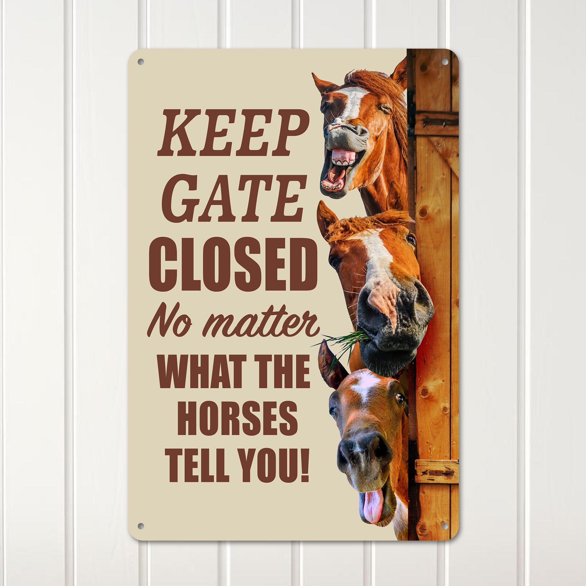 Personalized Horse Humor Metal Sign – Rustic Farmhouse Decor for Horse Lovers & Enthusiasts, Ideal Gift for Equestrians - Image 3